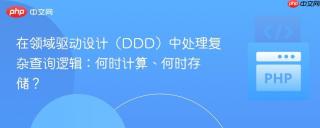 在领域驱动设计(DDD)中处理复杂查询逻辑:何时计算、何时存储?