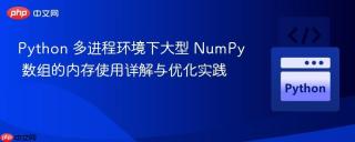 Python 多进程环境下大型 NumPy 数组的内存使用详解与优化实践
