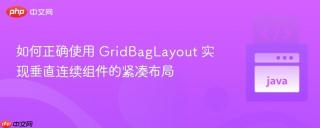 如何正确使用 GridBagLayout 实现垂直连续组件的紧凑布局
