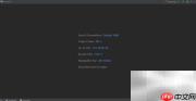 WebStorm中快速调整窗口大小技巧