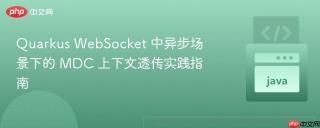 Quarkus WebSocket 中异步场景下的 MDC 上下文透传实践指南