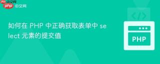 如何在 PHP 中正确获取表单中 select 元素的提交值
