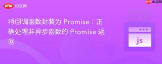 将回调函数封装为 Promise：正确处理非异步函数的 Promise 返回
