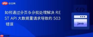 如何通过分页与分批处理解决 REST API 大数据量请求导致的 503 错误