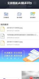 英汉互译技巧解析