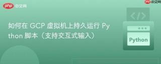 如何在 GCP 虚拟机上持久运行 Python 脚本（支持交互式输入）