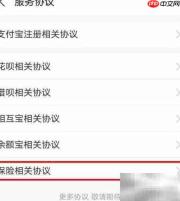 支付宝查看保险服务协议指南