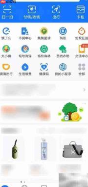 支付宝查看保险服务协议指南
