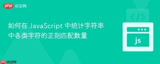 如何在 JavaScript 中统计字符串中各类字符的正则匹配数量