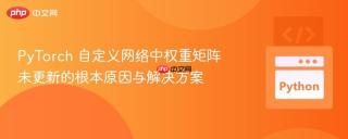 PyTorch 自定义网络中权重矩阵未更新的根本原因与解决方案