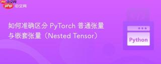 如何准确区分 PyTorch 普通张量与嵌套张量（Nested Tensor）