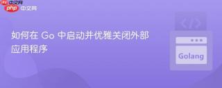 如何在 Go 中启动并优雅关闭外部应用程序