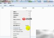 Windows安装Composer教程