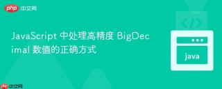 JavaScript 中处理高精度 BigDecimal 数值的正确方式