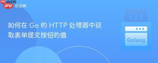 如何在 Go 的 HTTP 处理器中获取表单提交按钮的值