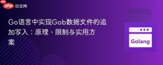 Go语言中实现Gob数据文件的追加写入：原理、限制与实用方案