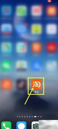 淘宝省钱卡使用情况查询指南