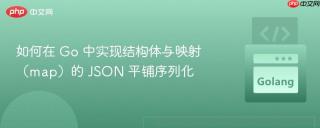 如何在 Go 中实现结构体与映射(map)的 JSON 平铺序列化