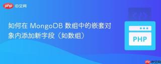 如何在 MongoDB 数组中的嵌套对象内添加新字段(如数组)