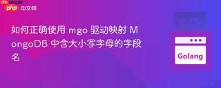 如何正确使用 mgo 驱动映射 MongoDB 中含大小写字母的字段名
