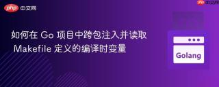 如何在 Go 项目中跨包注入并读取 Makefile 定义的编译时变量
