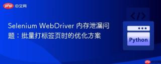 Selenium WebDriver 内存泄漏问题：批量打标签页时的优化方案