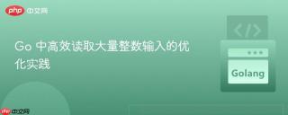 Go 中高效读取大量整数输入的优化实践