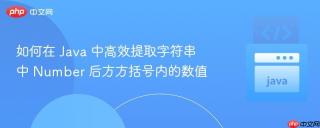 如何在 Java 中高效提取字符串中 Number 后方方括号内的数值