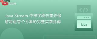 Java Stream 中按字段去重并保留每组首个元素的完整实践指南