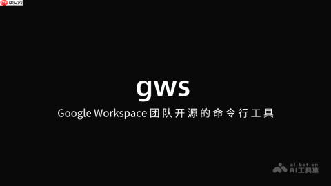 gws— Google Workspace 团队开源的命令行工具