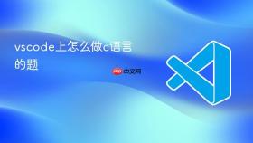 vscode上怎么做c语言的题