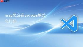 mac怎么在vscode格式化代码