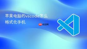 苹果电脑的vscode怎么格式化手机