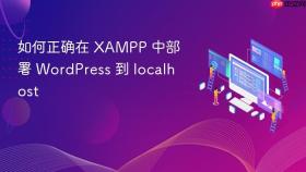 如何正确在 XAMPP 中部署 WordPress 到 localhost