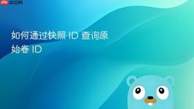 如何通过快照 ID 查询原始卷 ID
