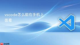 vscode怎么能在手机上面看