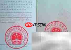 获取信息系统项目管理师证书指南