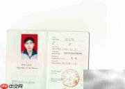 获取信息系统项目管理师证书指南
