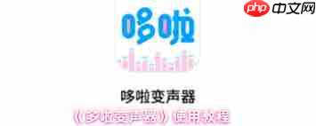 多啦变声器如何在游戏里使用