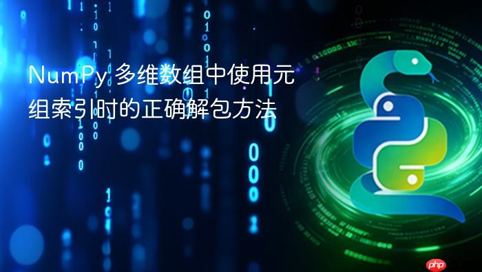 NumPy 多维数组中使用元组索引时的正确解包方法