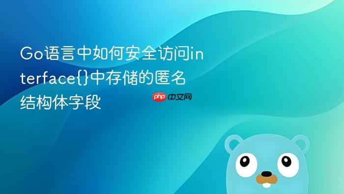 Go语言中如何安全访问interface{}中存储的匿名结构体字段