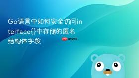 Go语言中如何安全访问interface{}中存储的匿名结构体字段