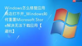 windows怎么修复应用商店打不开_windows如何重置microsoft store解决无法下载应用【避坑】
