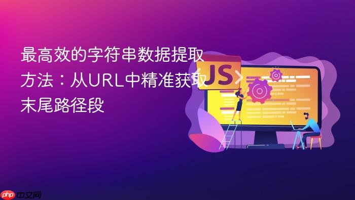 最高效的字符串数据提取方法:从URL中精准获取末尾路径段
