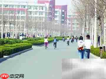 高一选科分班攻略