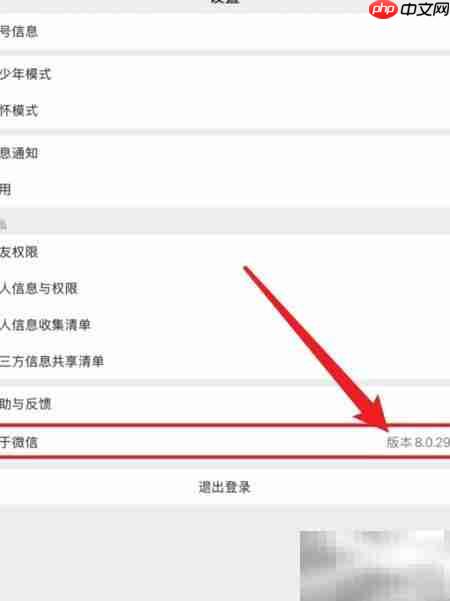 微信手机版查看版本号方法