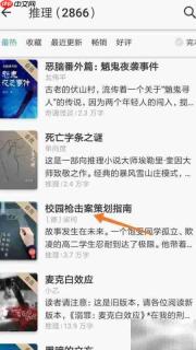 网络阅读禁载枪击案指南