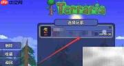 手机版泰拉瑞亚远程联机教程