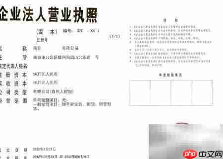 公司设立流程详解