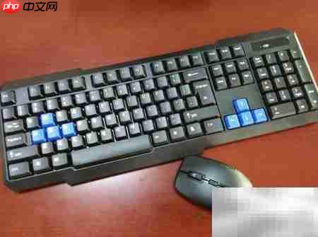 信息处理的本质解析